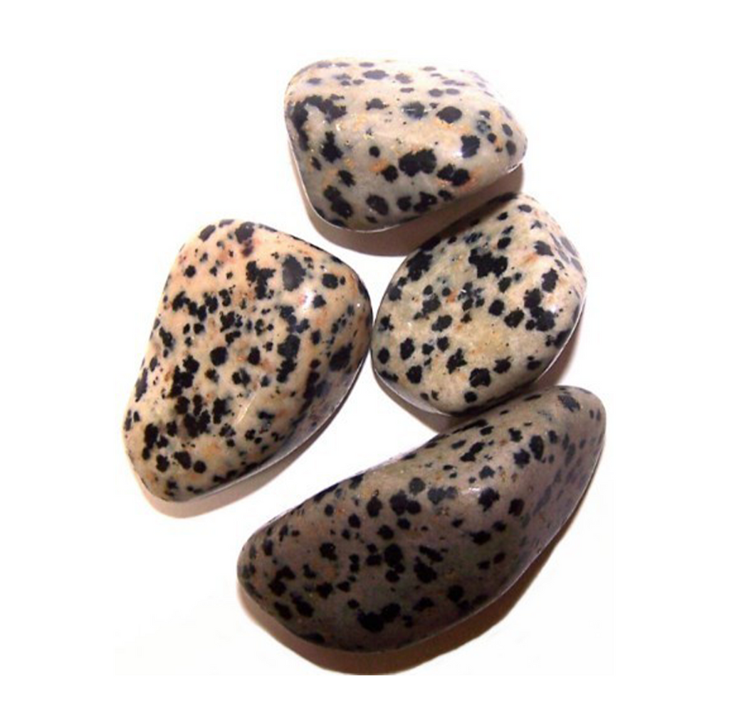 Large Tumble Stones - Dalmatian Jasper (24x) Ancient Wisdom