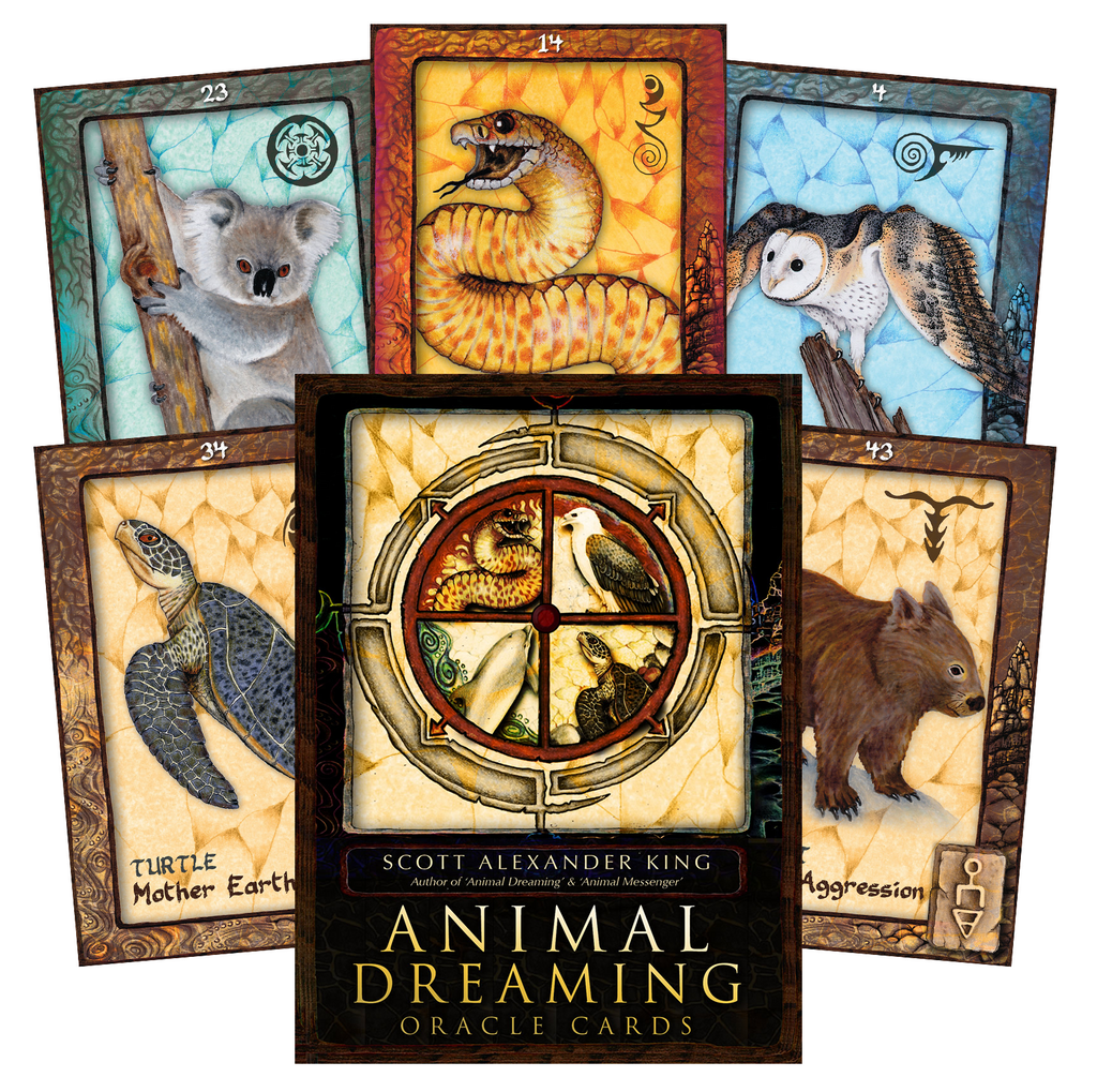 Animal Dreaming Oracle cards Blue Angel