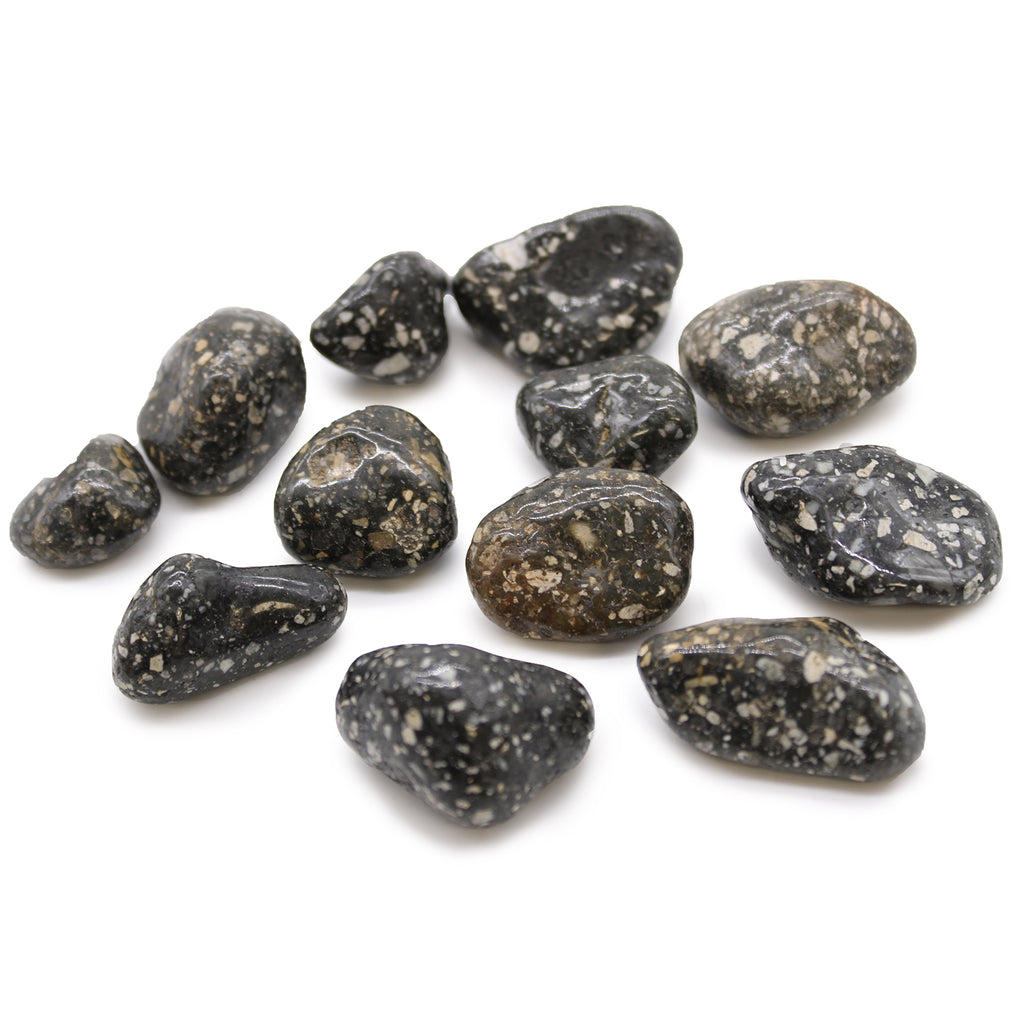 Medium African Tumble Stones (12x) - Guinea Fowl Ancient Wisdom