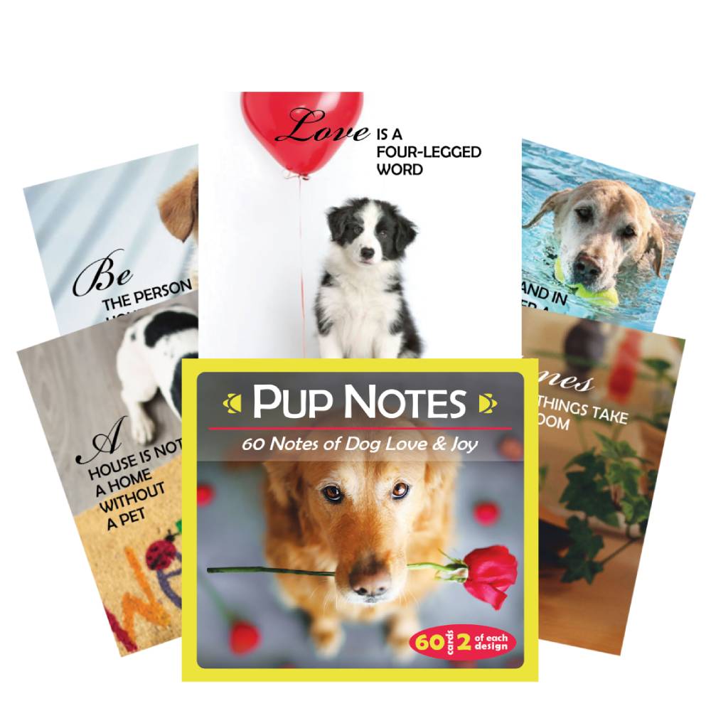 Inspirational Pup Notes 60 Notes Of Dog Love And Joy Cards US Games Systems