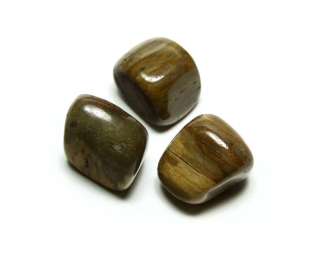 Petrified Wood (500 g) Lo Scarabeo