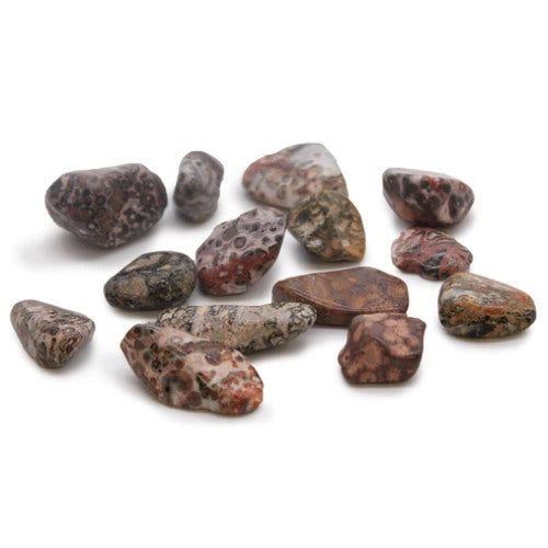 Medium Tumble Stones - Leopard Skin Jasper (24x) Ancient Wisdom