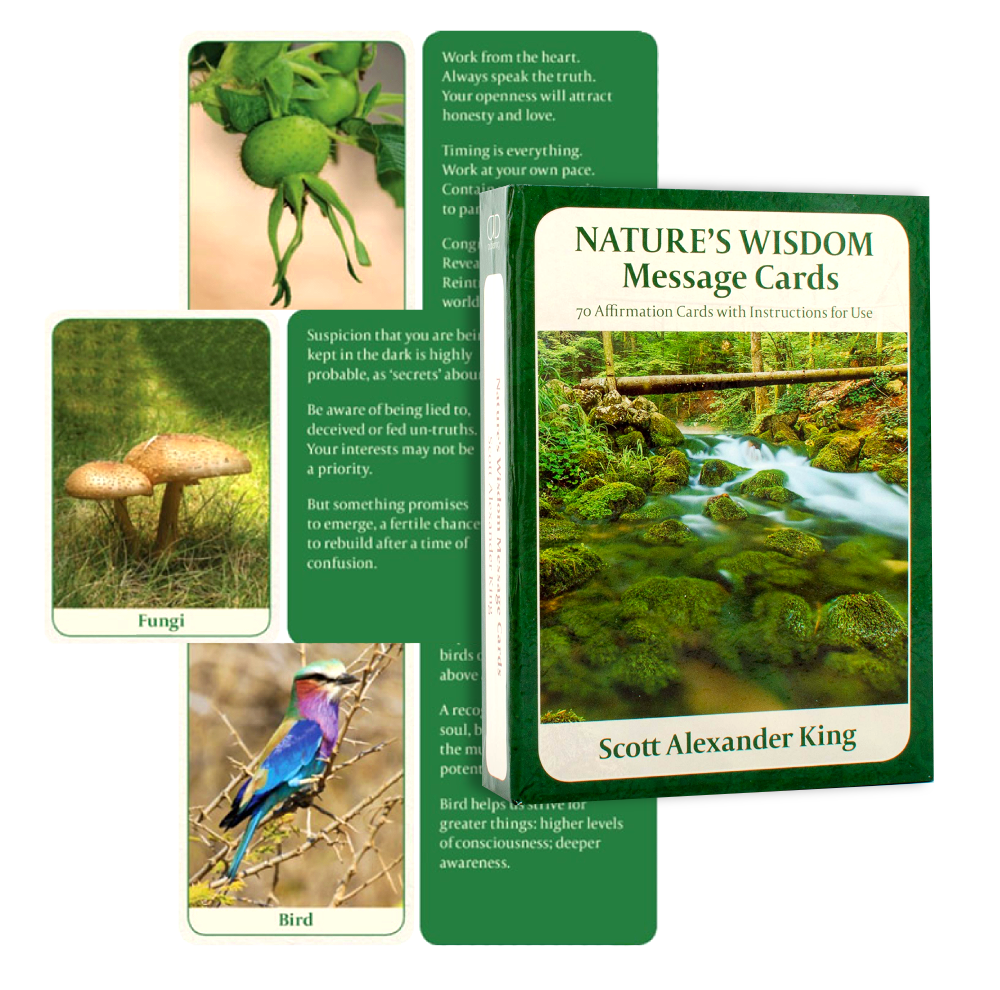 Natures Wisdom Mini message cards Animal Dreaming