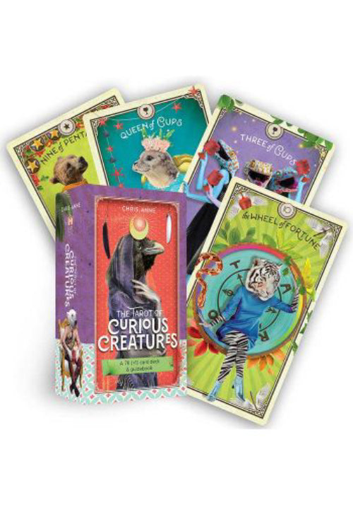 The Tarot of Curious Creatures cards and guidebook Hay House